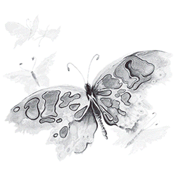 " WATERCOLOR BUTTERFLY " <font face="Times New Roman"><i> 02544SA4 </i></font>