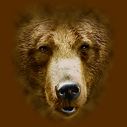 "BEAR FACE" Oversized Animals By AWD. <font face="Times New Roman"><i> 17936D0 </i></font>