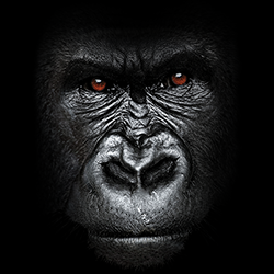 "GORILLA FACE" Oversized Animals By AWD. <font face="Times New Roman"><i> 17938D0</i></font>