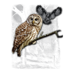 "OWL WILDERNESS"  By AWD. <font face="Times New Roman"><i> 18282D2 </i></font>