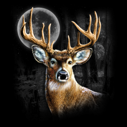 "WHITETAIL WILDERNESS"  By AWD. <font face="Times New Roman"><i> 18322D1 </i></font>