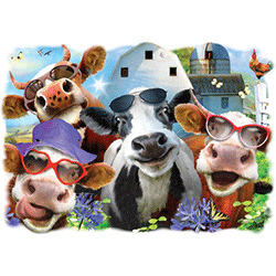 "UDDERLY COOL SELFIE" by AWD. <font face="Times New Roman"><i> 21636HLP4 </i></font>