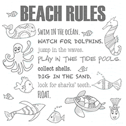 "BEACH RULES FISH" SOLAR MAGIC by AWD <font face="Times New Roman"><i>22167SA2 </i></font>
