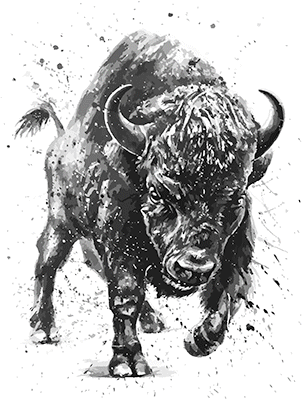 " WATERCOLOR BISON " SOLAR MAGIC by AWD. <font face="Times New Roman"><i> 84829SA4  </i></font>