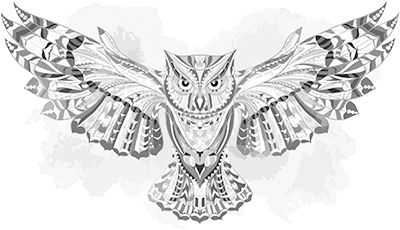" WATERCOLOR OWL " SOLAR MAGIC by AWD. <font face="Times New Roman"><i> 84836SA4  </i></font>