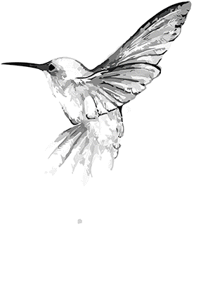 "A WATERCOLOR HUMMINGBIRD " SOLAR MAGIC by AWD. <font face="Times New Roman"><i> 84831SA4  </i></font>